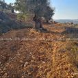 قطعة أرض في دير غسانة
