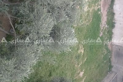 متوفر ارض للبيع في منطقة مميزة و حيوية و بسعر مناسب متوفر ارض للبيع في منطقة مميزة و حيوية و بسعر مناسب