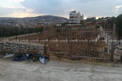 قطعة ٱرض للبيع في بيت لحم قطعة ٱرض للبيع في بيت لحم