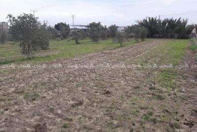 أرض للبيع في جحر الديك أرض للبيع في جحر الديك
