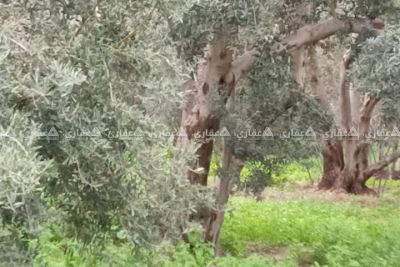 قطعة ارض للبدل على بيت في غزة او للبيع قطعة ارض للبدل على بيت في غزة او للبيع