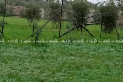 قطعة ارض قرب المدينة السكنية في جحر الديك قطعة ارض قرب المدينة السكنية في جحر الديك