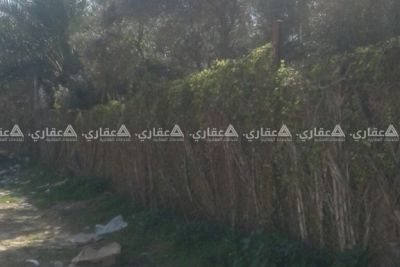 قطعه ارض للبيع في الزوايده غرب البلديه قطعه ارض للبيع في الزوايده غرب البلديه