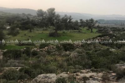 أرض 2700متر في كفر نعمه أرض 2700متر في كفر نعمه