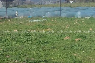 ارض للبيع بمكان مميز شرق دير البلح ارض للبيع بمكان مميز شرق دير البلح