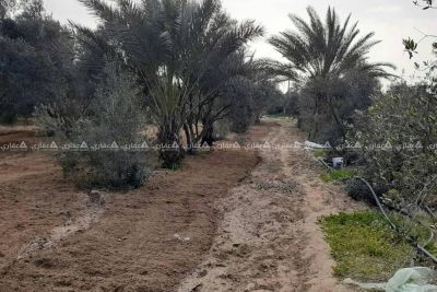 للبيع ارض طابو فى خانيونس جنوب غرب الأوروبي للبيع ارض طابو فى خانيونس جنوب غرب الأوروبي