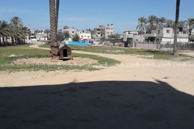 قطعة ارض في دير البلح للبيع قطعة ارض في دير البلح للبيع