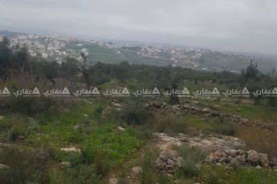 دونم ارض في دير ابزيع دونم ارض في دير ابزيع