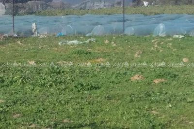 قطعه ارض شرق دير البلح مساحه 2400 متر قطعه ارض شرق دير البلح مساحه 2400 متر
