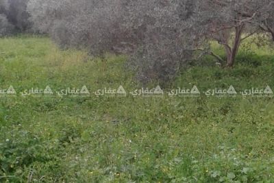 قطعة أرض للبيع في جحر الديك قطعة أرض للبيع في جحر الديك