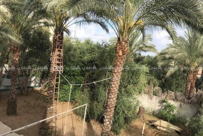 قطعه ارض في النصيرات منطقه السوارحه قطعه ارض في النصيرات منطقه السوارحه