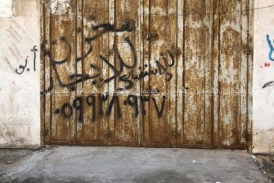 حاصل للبيع بسعر مغري جدا حاصل للبيع بسعر مغري جدا