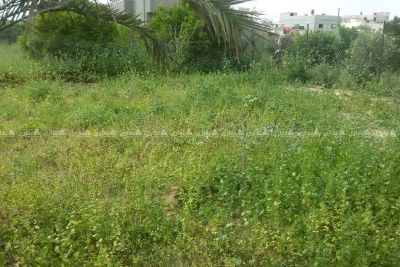 دونم أرض للبيع في بيت حانون دونم أرض للبيع في بيت حانون