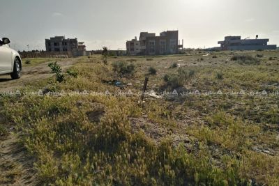 ارض طابو للبيع 500متر غرب مدينة حمد ارض طابو للبيع 500متر غرب مدينة حمد