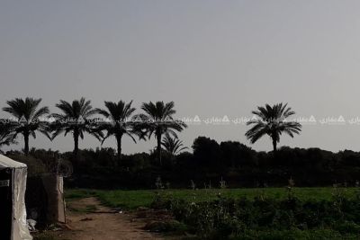 ارض للبيع السودانية بعد الواحة ٢٠٠ متر ارض للبيع السودانية بعد الواحة ٢٠٠ متر