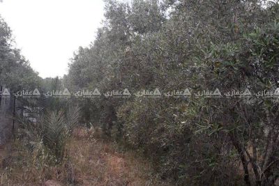 قطعه ارض للبيع شرق دير البلح قطعه ارض للبيع شرق دير البلح