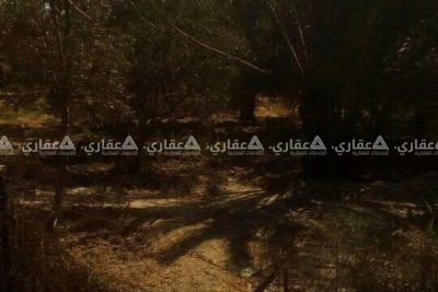 قطعة أرض 1000م،في منطقة الزوايدة قطعة أرض 1000م،في منطقة الزوايدة