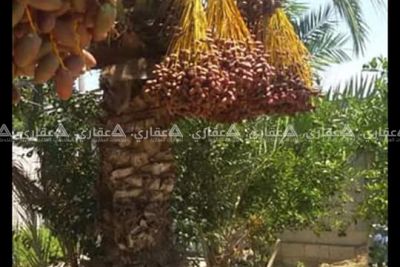 بيت مع أرض للبيع بيت مع أرض للبيع