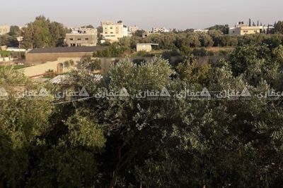 بيت للبيع اخر شارع جامع علي ابن طالب بيت للبيع اخر شارع جامع علي ابن طالب