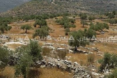 أرض للبيع جميلة جدا وتصلح لبناء عزبة زراعية . أرض للبيع جميلة جدا وتصلح لبناء عزبة زراعية .