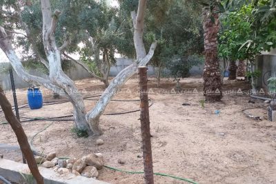 فيلا للبيع خانيونس السطر الغربي فيلا للبيع خانيونس السطر الغربي
