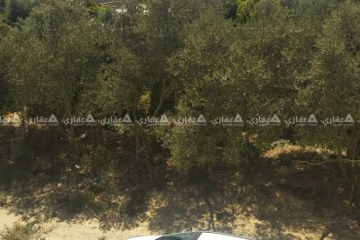 بيت للبيع،موقع ومواصفات مميزة جدا.. بيت للبيع،موقع ومواصفات مميزة جدا..
