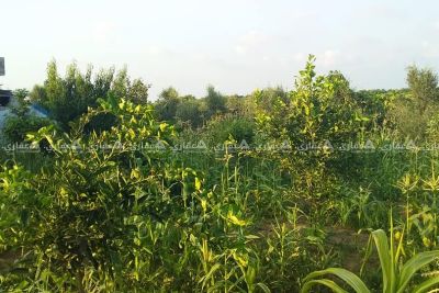 قطعة أرض طابو 624 متر للبيع قطعة أرض طابو 624 متر للبيع