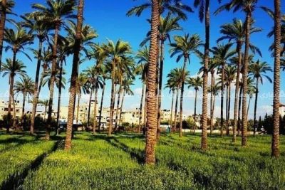 قطعة أرض للبيع لأصحاب المصانع والشركات قطعة أرض للبيع لأصحاب المصانع والشركات