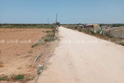 قطعة ارض برفح قطعة ارض برفح