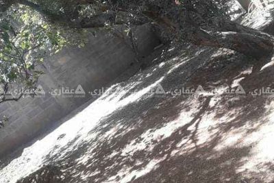 ارض بالزوايدة قريب من سليم للبلاط ارض بالزوايدة قريب من سليم للبلاط