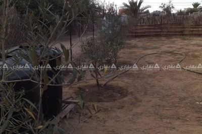قطعة ارض في منطقة سكنية هادئة قطعة ارض في منطقة سكنية هادئة