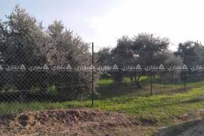 قطع ارض للبيع قطع ارض للبيع