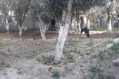 قطعة أرض للبيع قطعة أرض للبيع