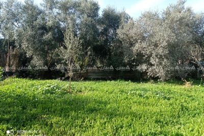 قطعة أرض للبيع قطعة أرض للبيع