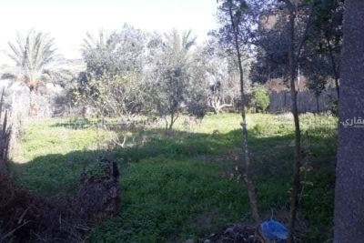 منزل في حي الزعفران منزل في حي الزعفران