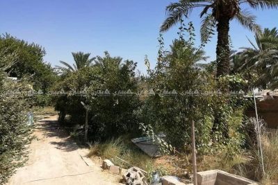 قطعة ارض للبيع قطعة ارض للبيع