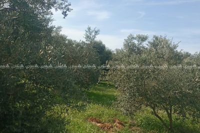 قطعة أرض طابو في جحر الديك قطعة أرض طابو في جحر الديك