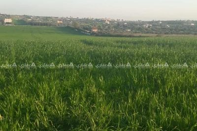 قطعة أرض للبيع قطعة أرض للبيع