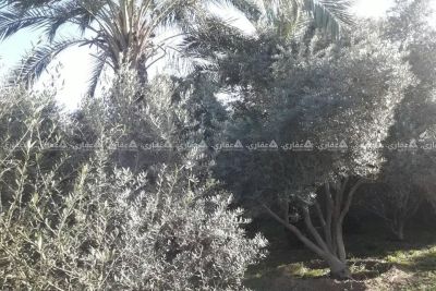 قطعة أرض للبيع قطعة أرض للبيع