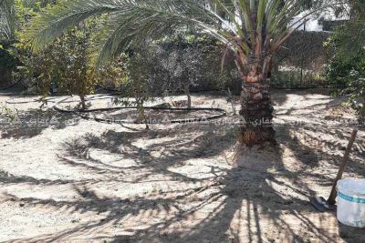 قطعة أرض طابو للبيع قطعة أرض طابو للبيع
