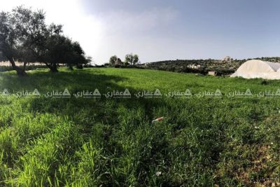 قطعة أرض مميزة جداً قطعة أرض مميزة جداً