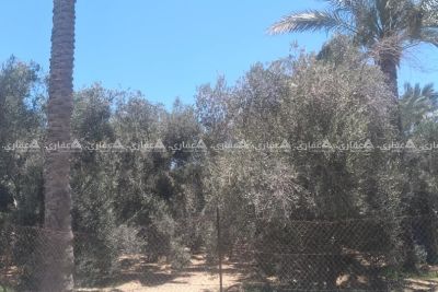 قطعة أرض مميزة جداً قطعة أرض مميزة جداً