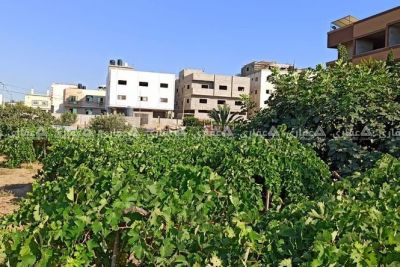 قطعة أرض بالشيخ عجلين قطعة أرض بالشيخ عجلين