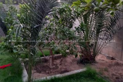 منزل مع جنينه للبيع منزل مع جنينه للبيع