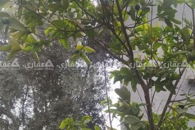 قطعه أرض للبيع قطعه أرض للبيع