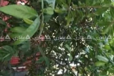 قطعة أرض للبيع قطعة أرض للبيع
