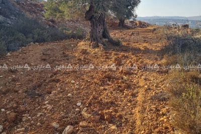 قطعة أرض في دير غسانة قطعة أرض في دير غسانة
