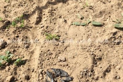 قطعة أرض للبيع خلف محطة النعيم قطعة أرض للبيع خلف محطة النعيم