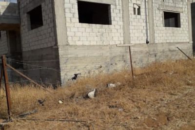 منزل عظم للبيع منزل عظم للبيع