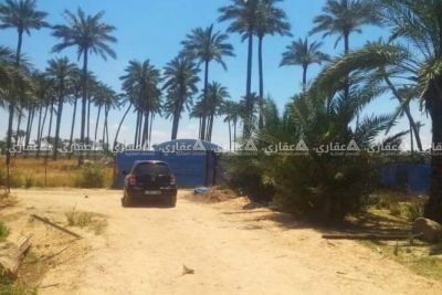 ارض مميزة بتطل على البحر وطابو ارض مميزة بتطل على البحر وطابو
